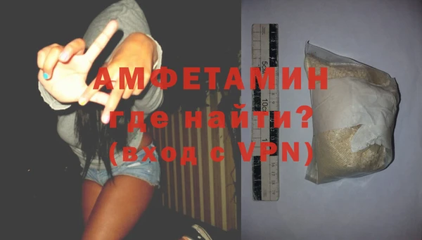 стаф Горняк