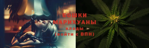 стаф Горняк