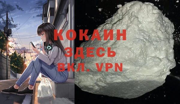 стаф Горняк