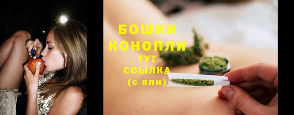 дмт Горно-Алтайск