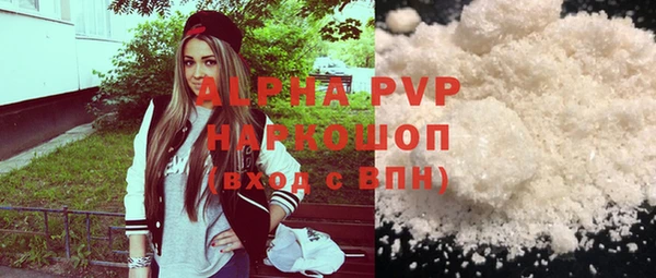 стаф Горняк