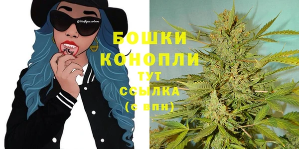 дмт Горно-Алтайск