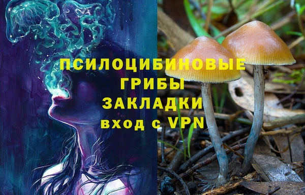 стаф Горняк