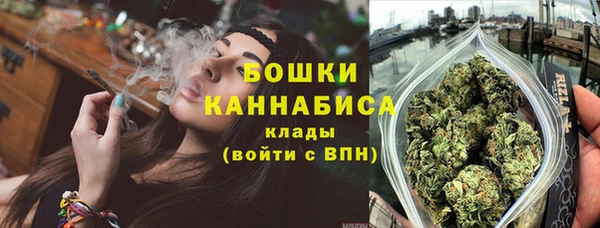 стаф Горняк