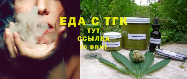 стаф Горняк